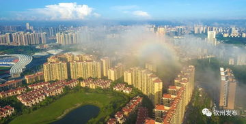 欽州發文加強房地產市場調控，促進房地產開發行業健康發展